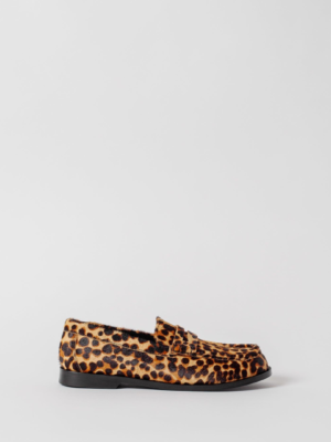 THE CELESTE LEOPARD
