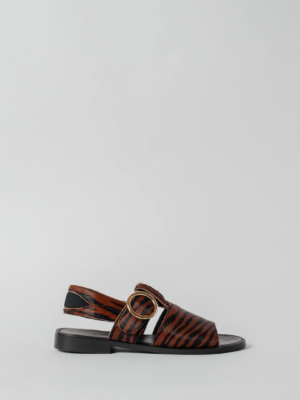 THE PALERMO RUST ZEBRA